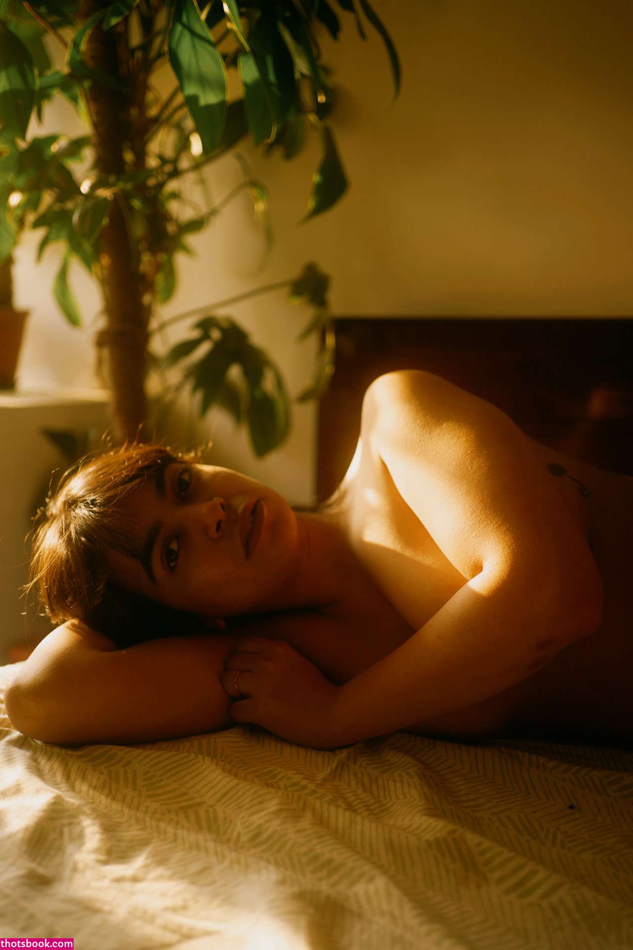 shivajisen Photo #31