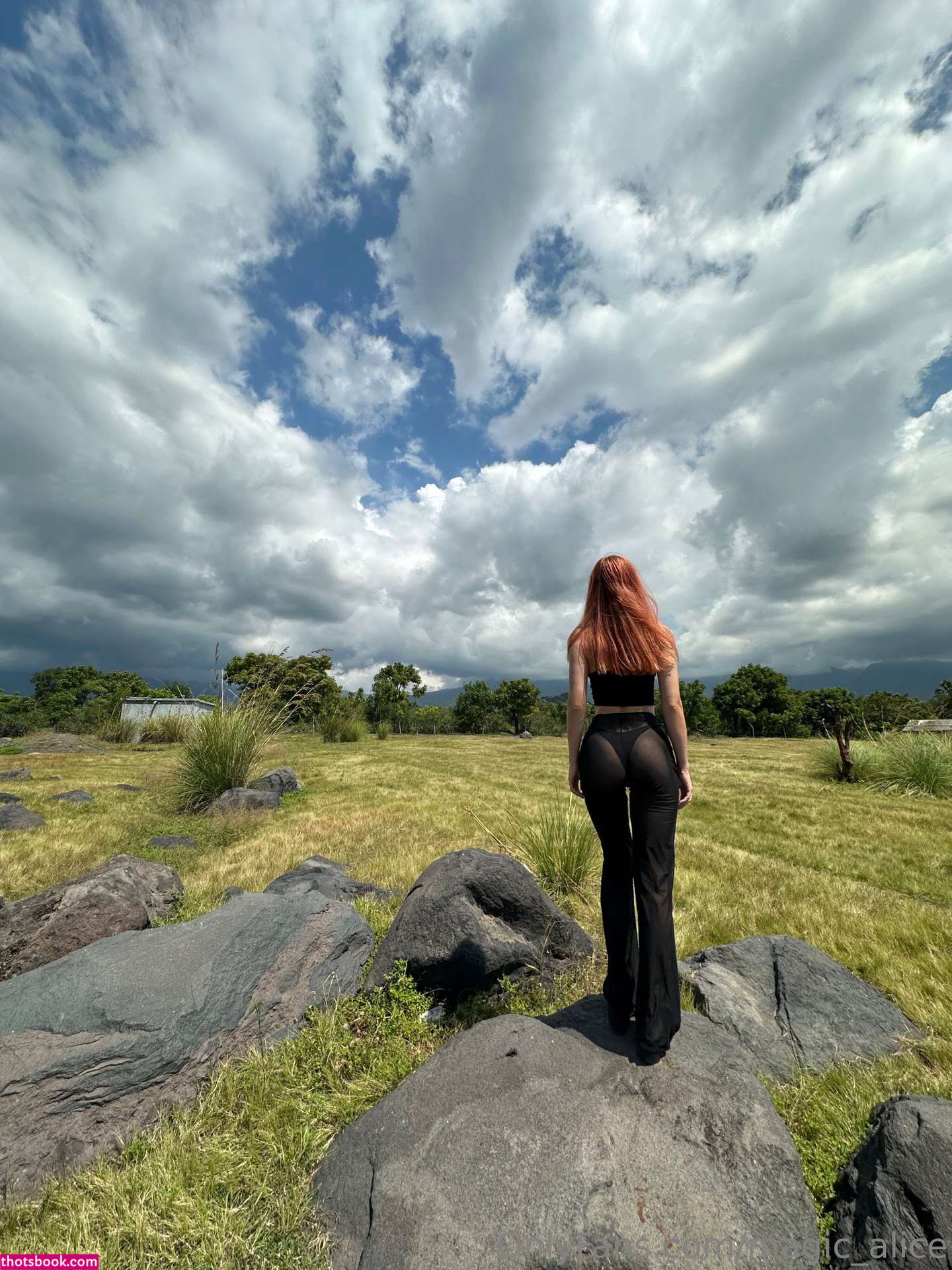 Magic Alice Photo #92