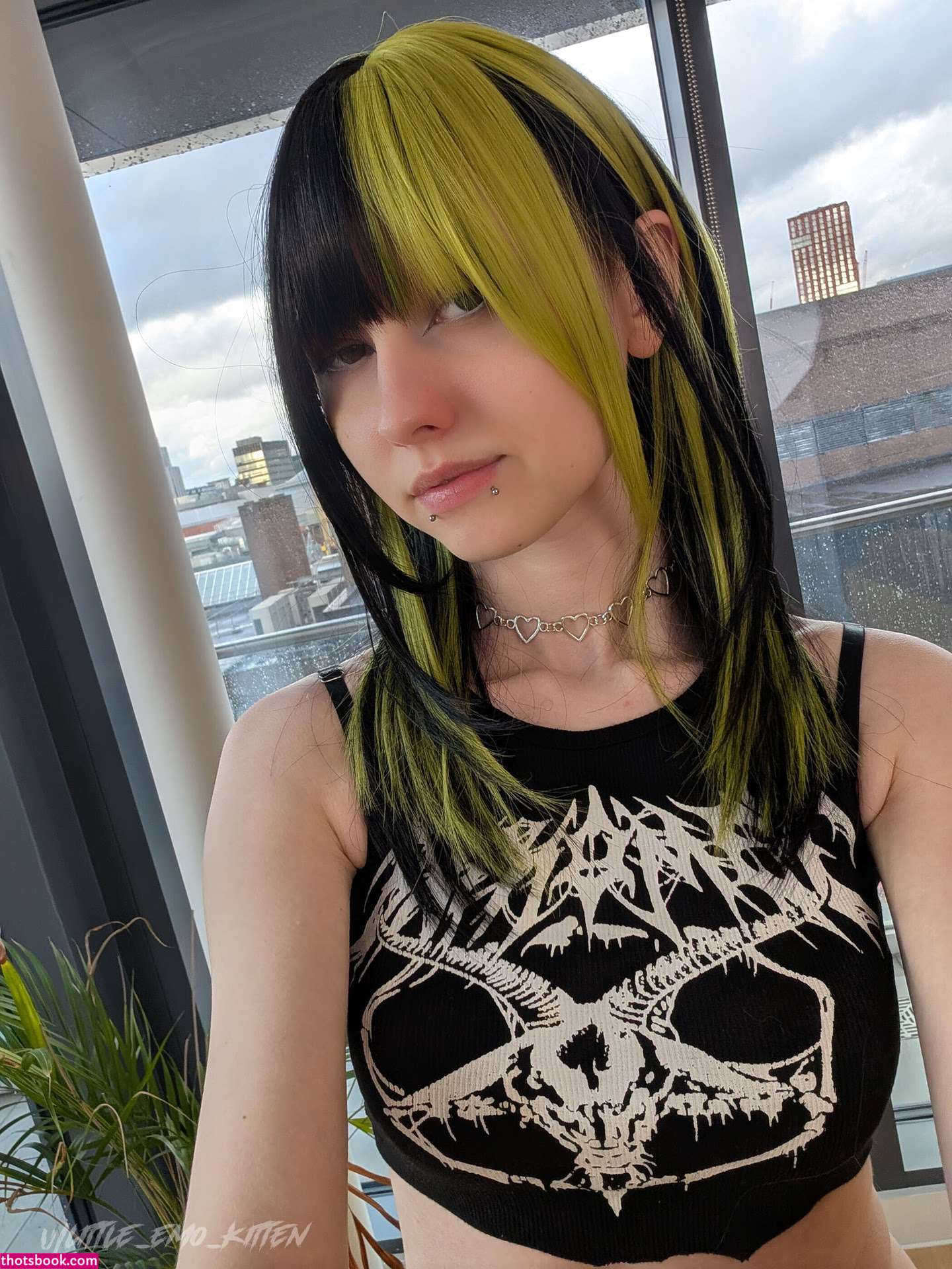 Little Emo Kitten Photo #276