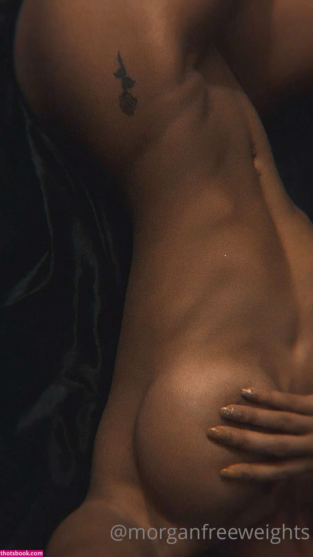 morganfreeweights Photo #10