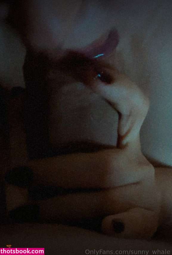 Sunny Whale Photo #15