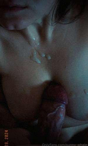 Sunny Whale Photo #14