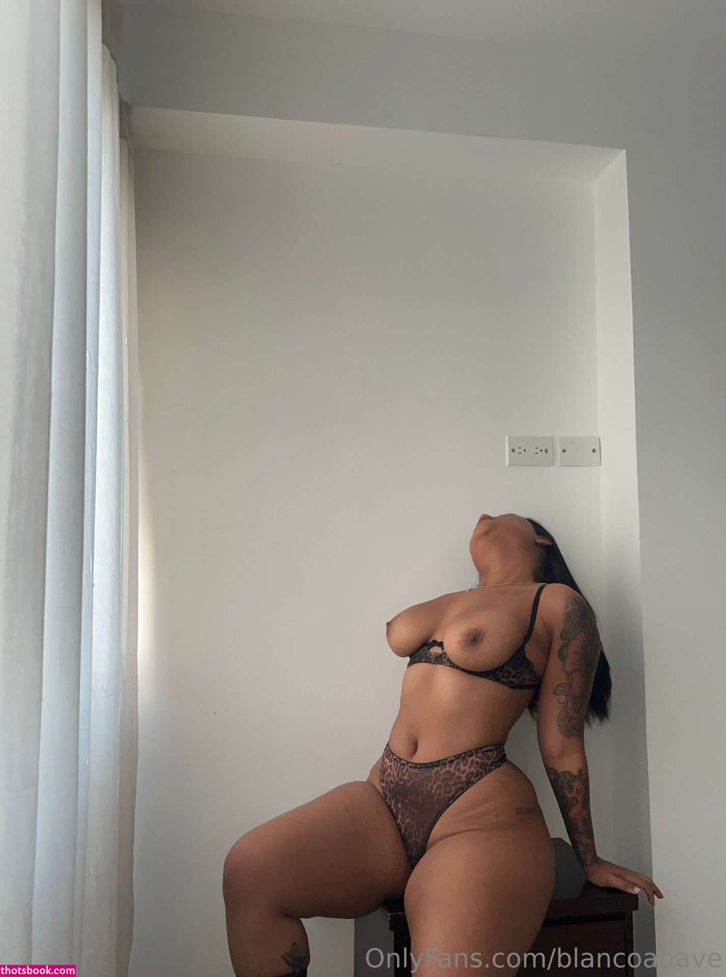 blancoanave Photo #171