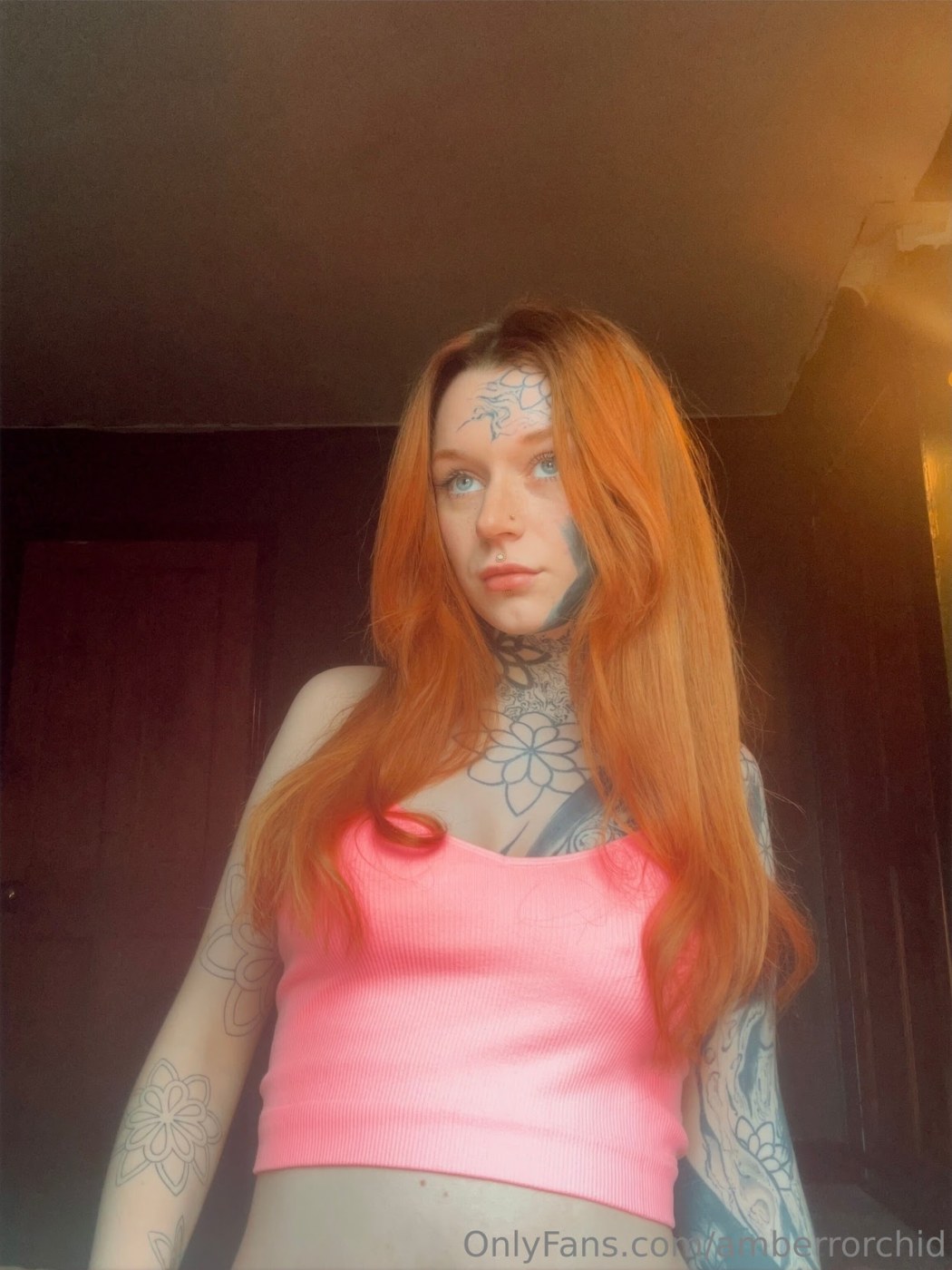 amberrorchid Photo #68