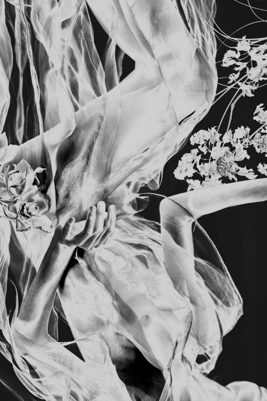 Artobjectt Photo #1