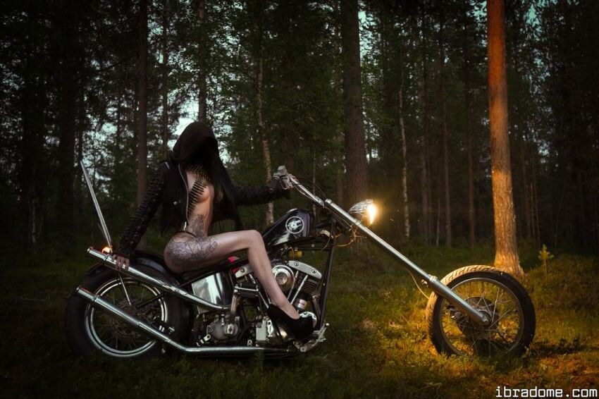 Creator Photo #42058