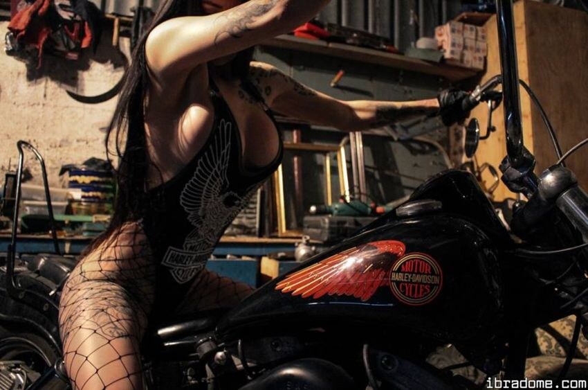 Creator Photo #42062