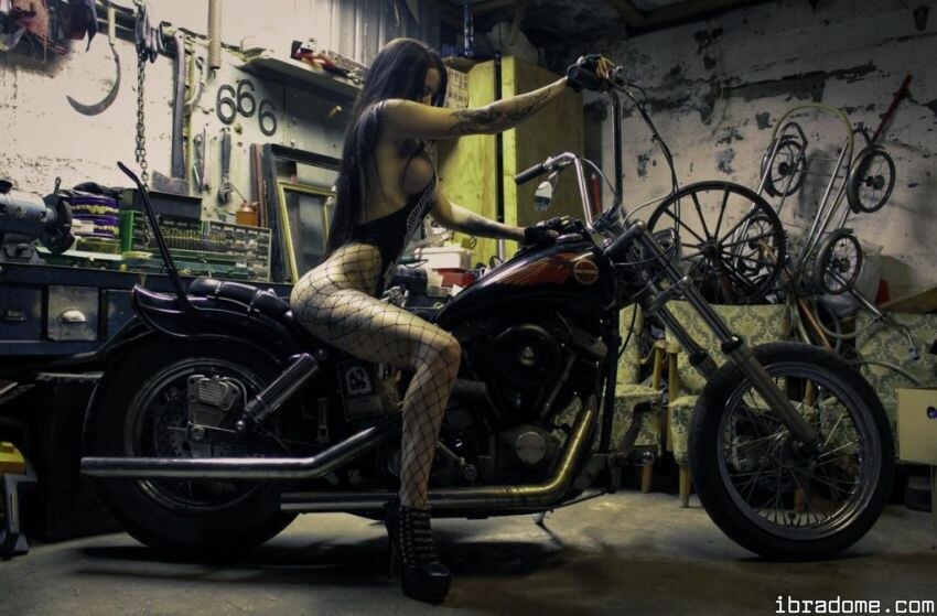 Creator Photo #42083