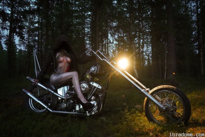 Creator Photo #42092