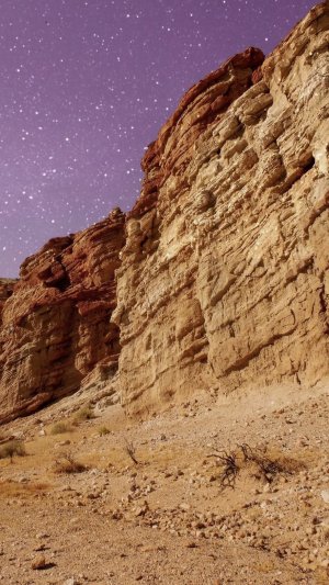 Vanessavenus21 Photo #16