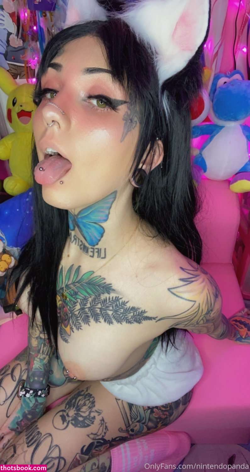 Nintendopanda Photo #10