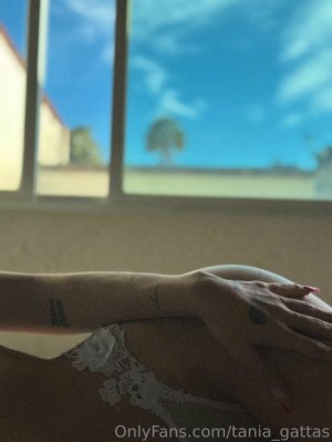 Tania Gattas Post #2