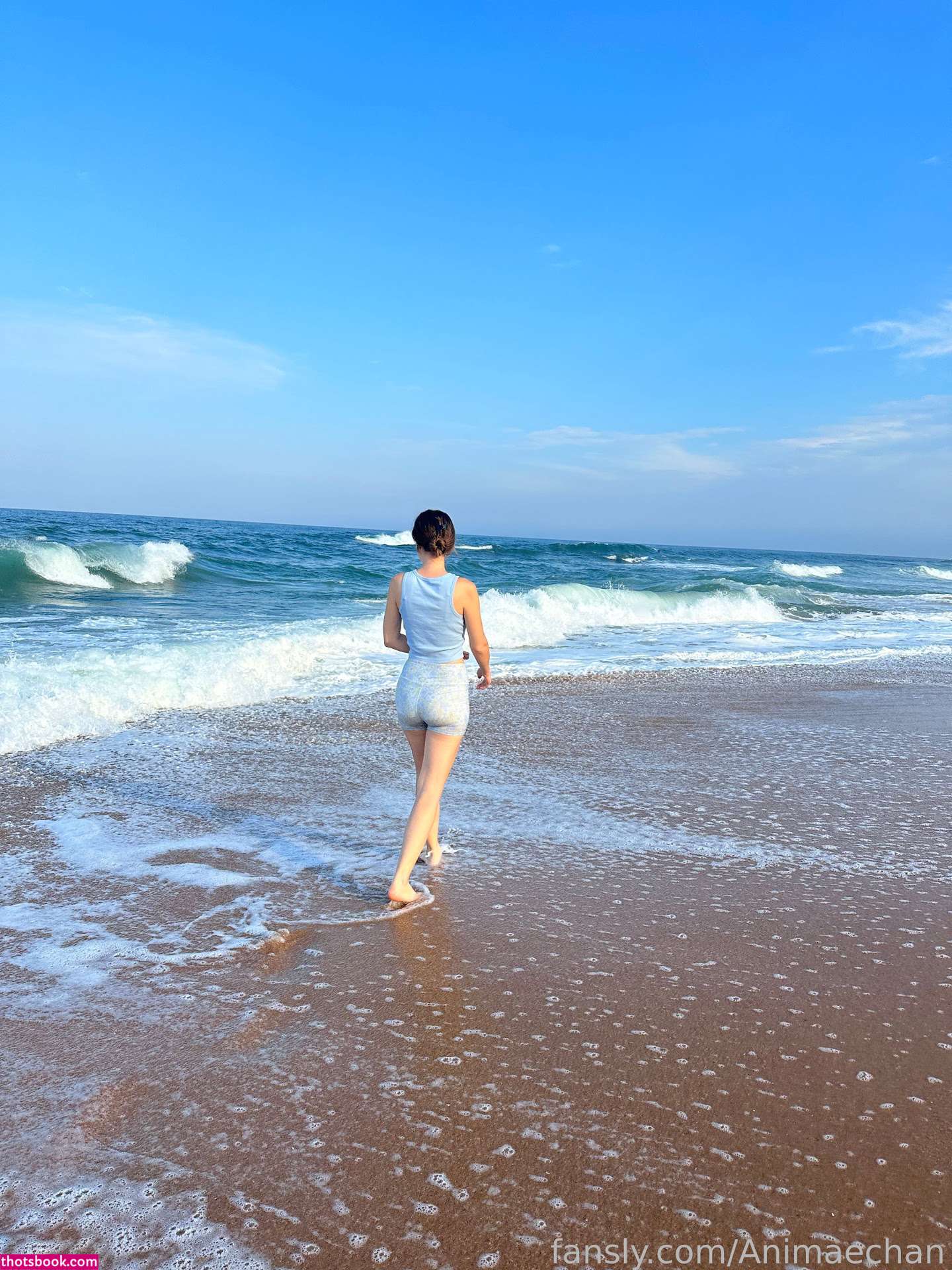 Animaechan Photo #32