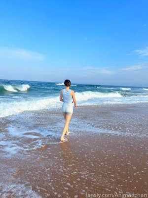 Animaechan Photo #32