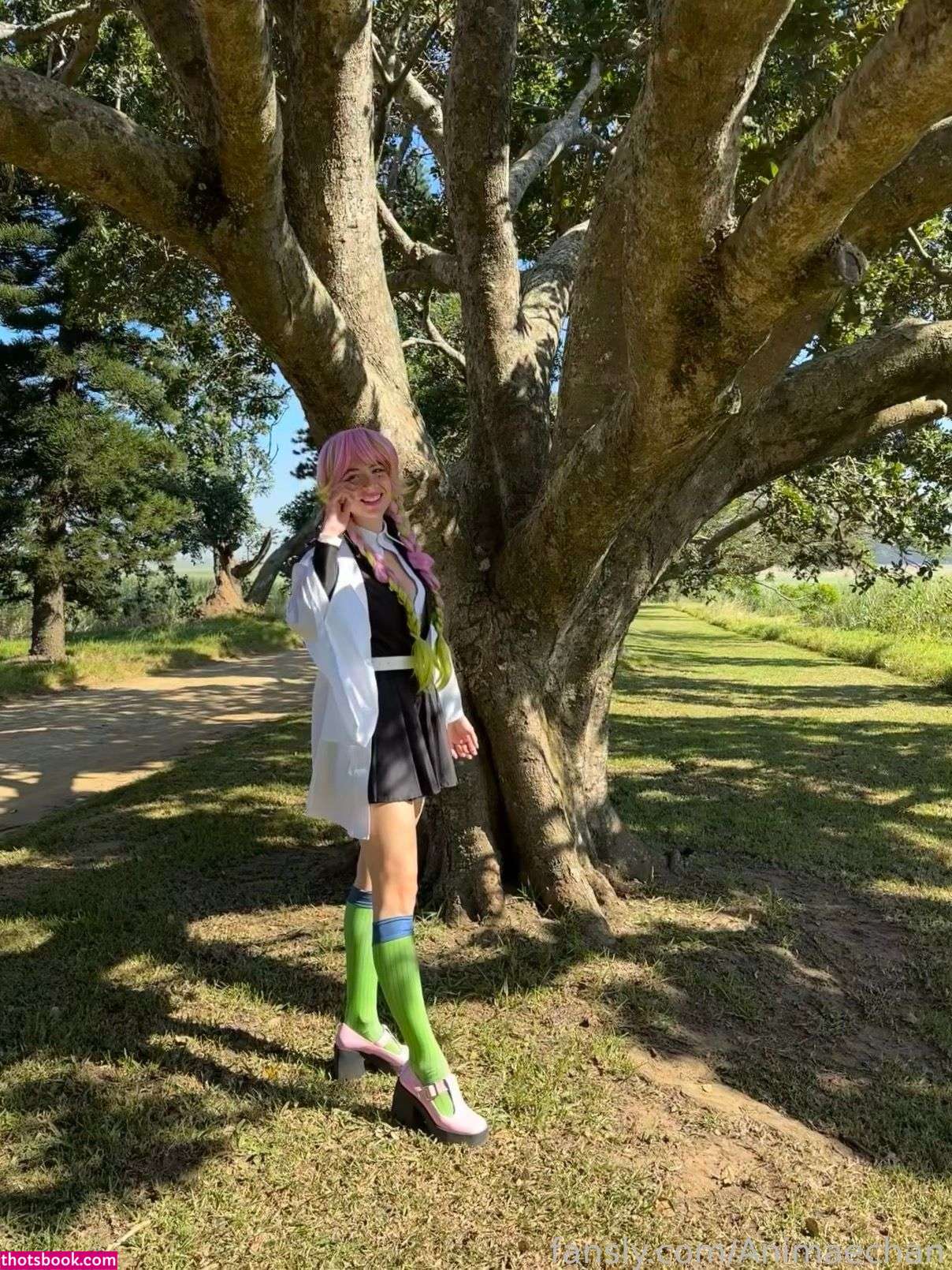 Animaechan Photo #42