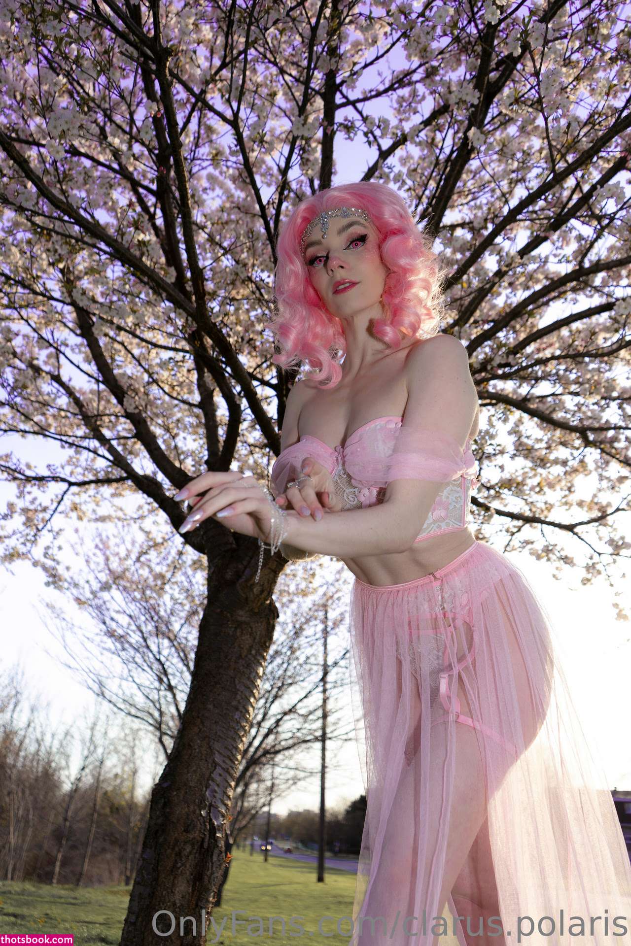 Clarus Polaris Photo #4