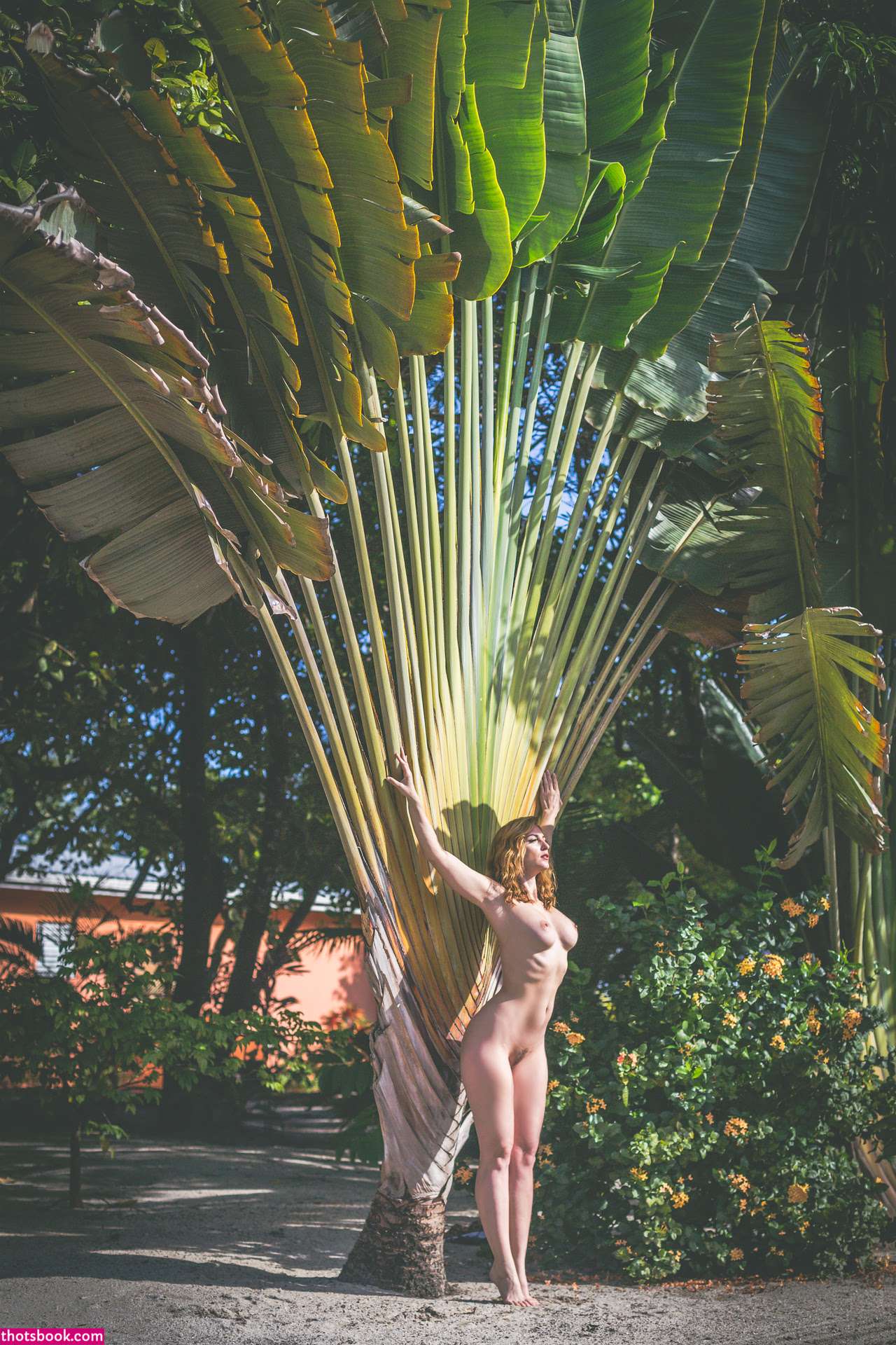 Carlotta Champagne Photo #690