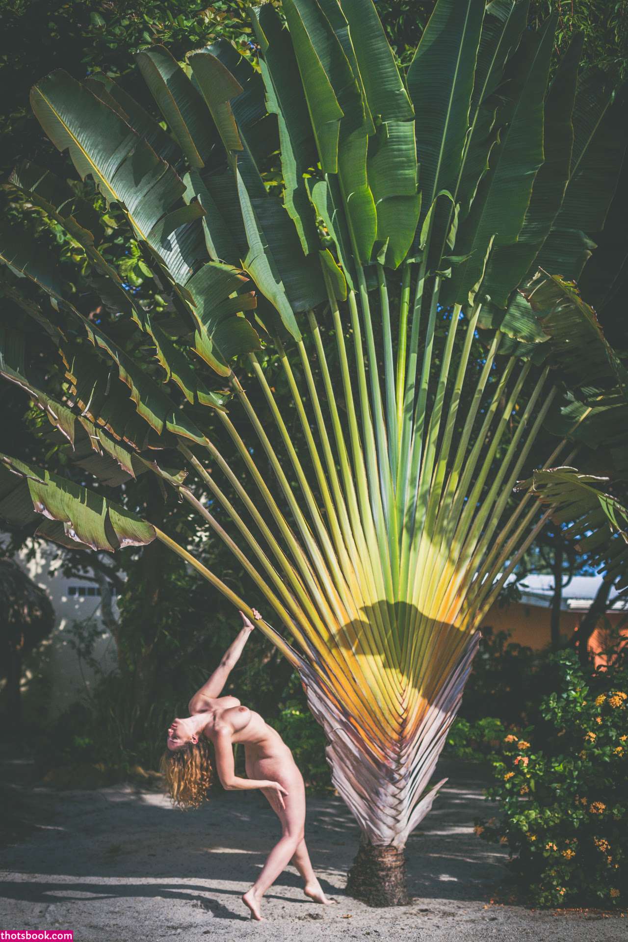 Carlotta Champagne Photo #697