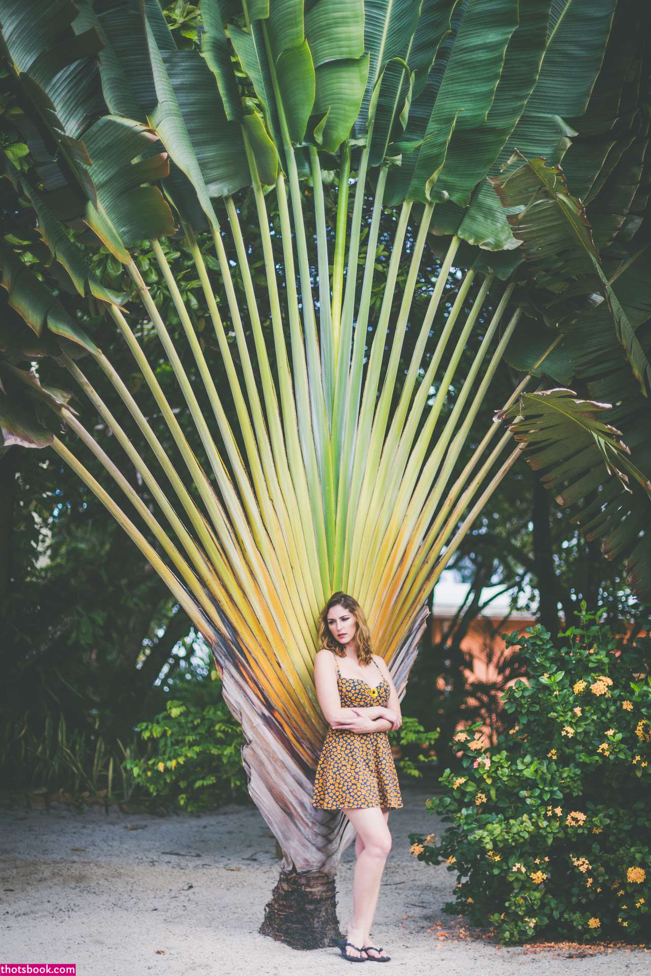 Carlotta Champagne Photo #701