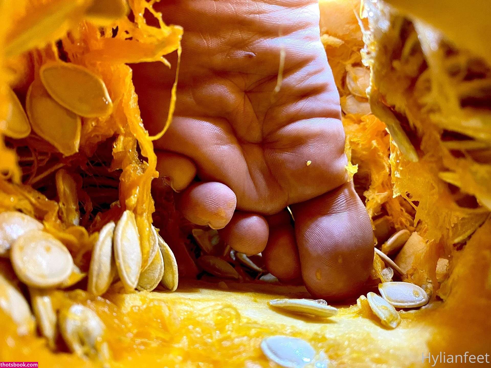 Zeldahyrule Photo #5