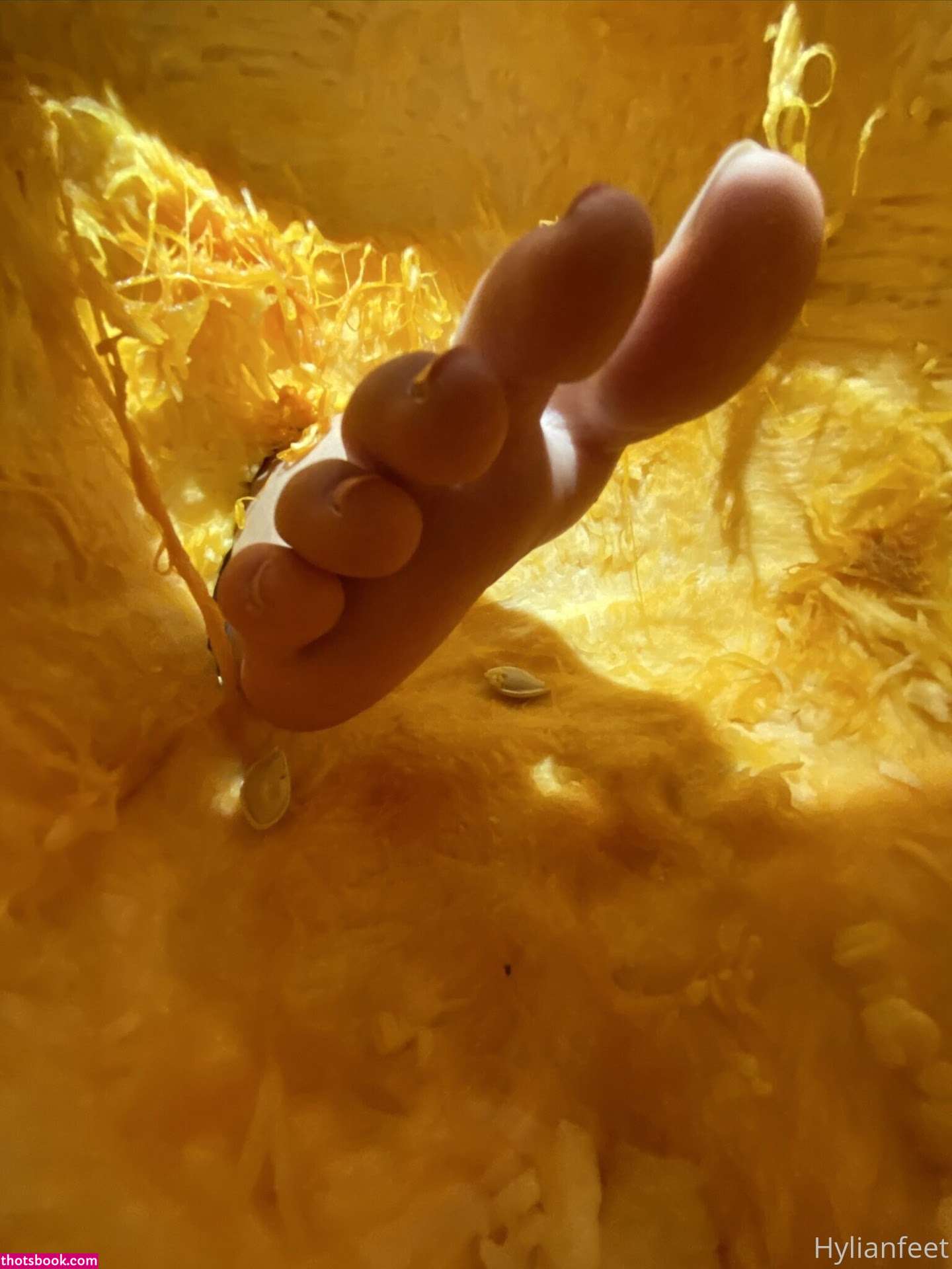 Zeldahyrule Photo #28