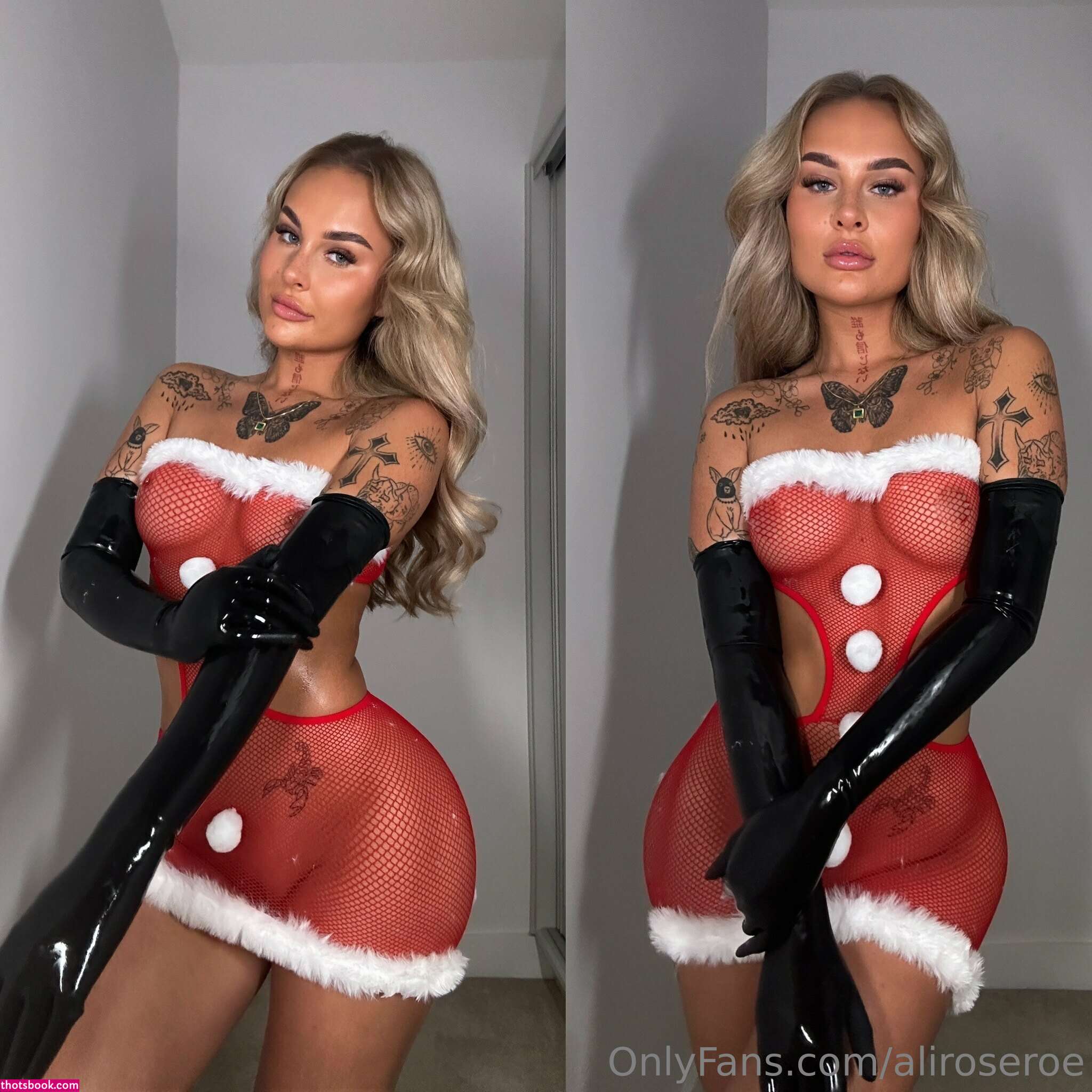 Aliroseroe Photo #116