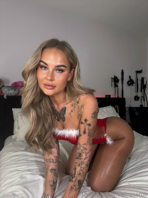 Aliroseroe Photo #107