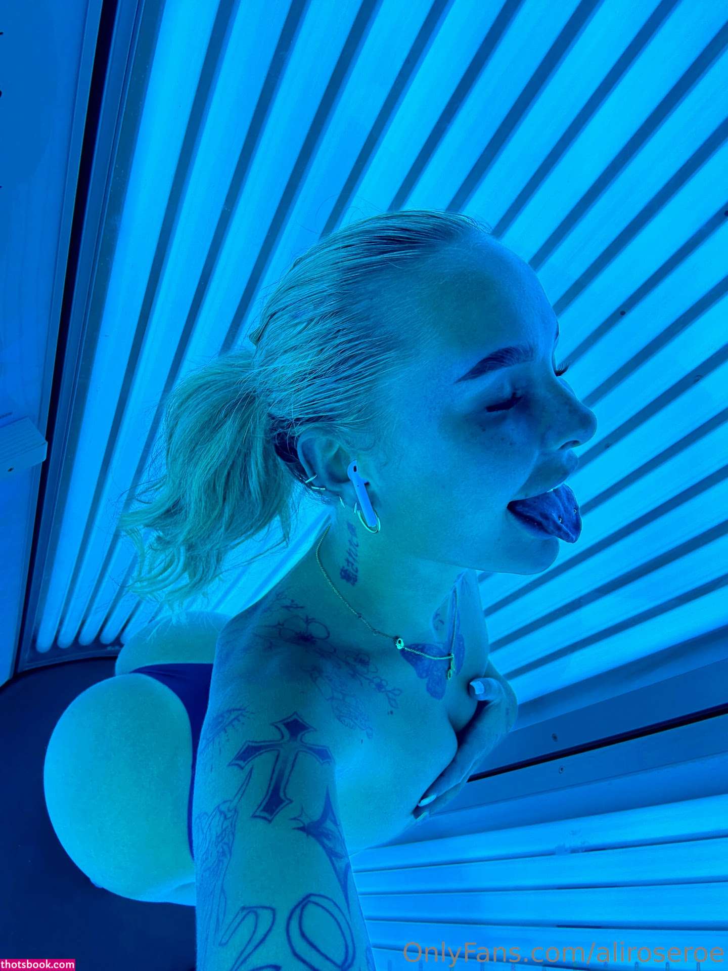 Aliroseroe Photo #156