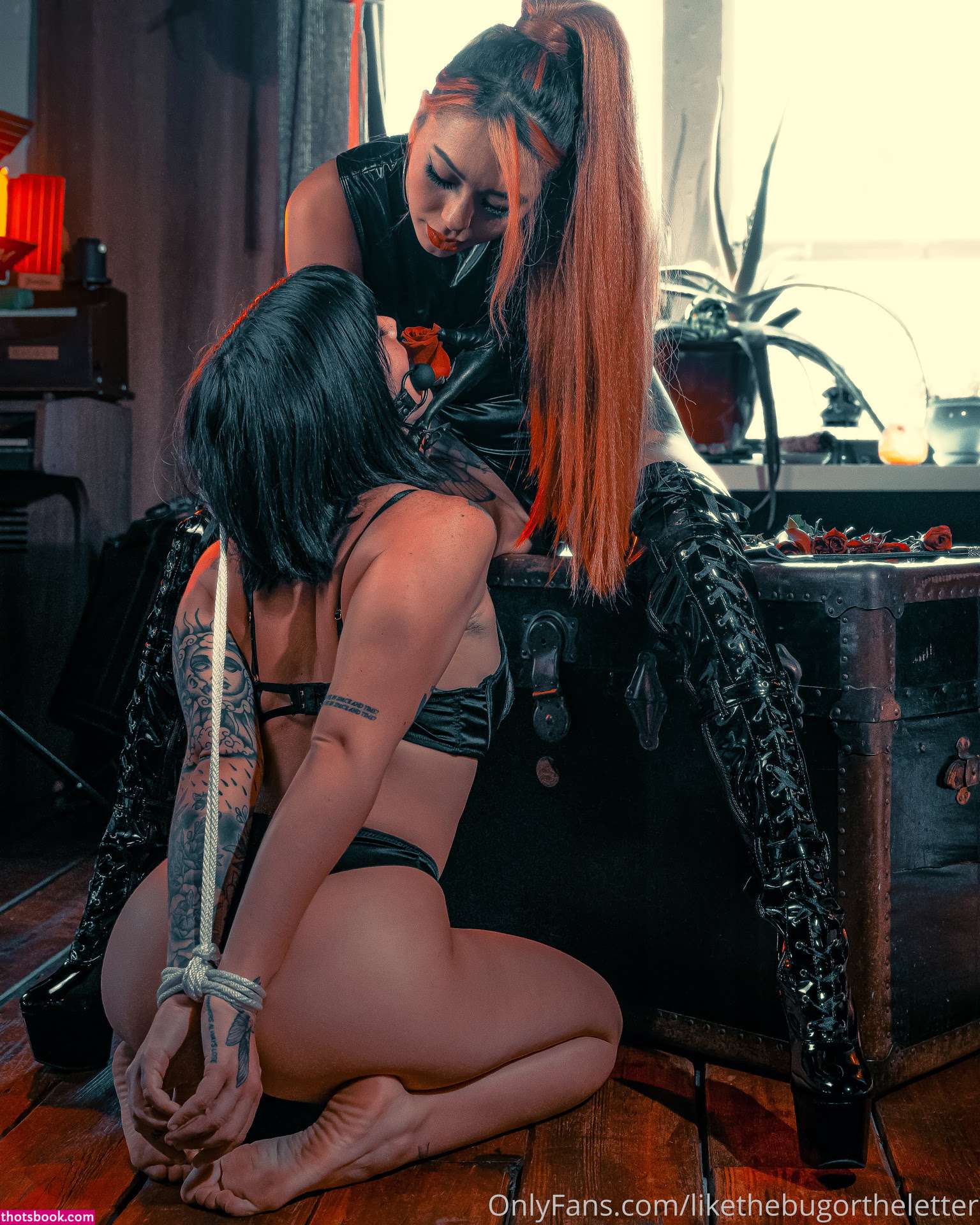 Bugortheletter Photo #133