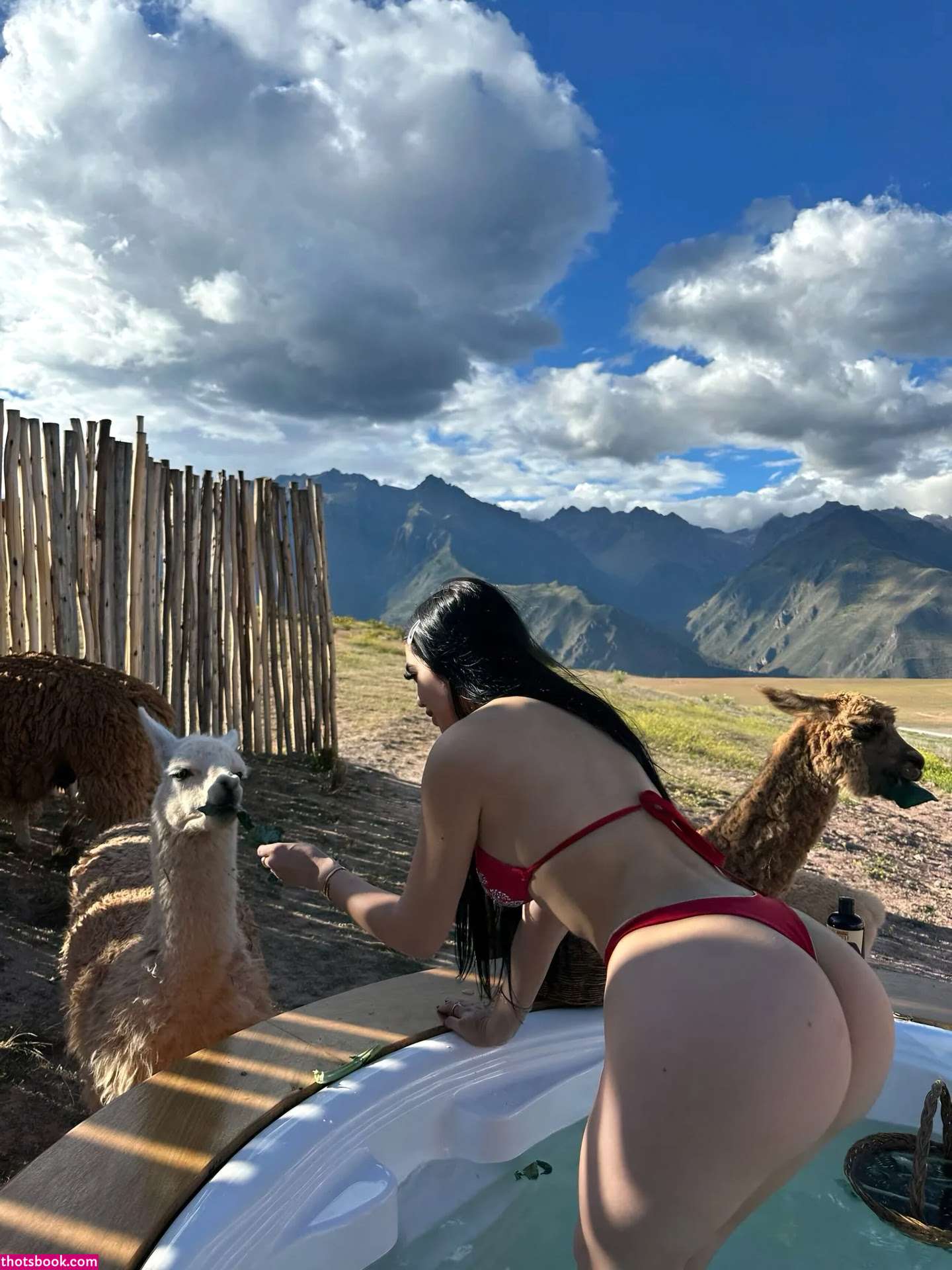 Jailyne Ojeda Photo #202