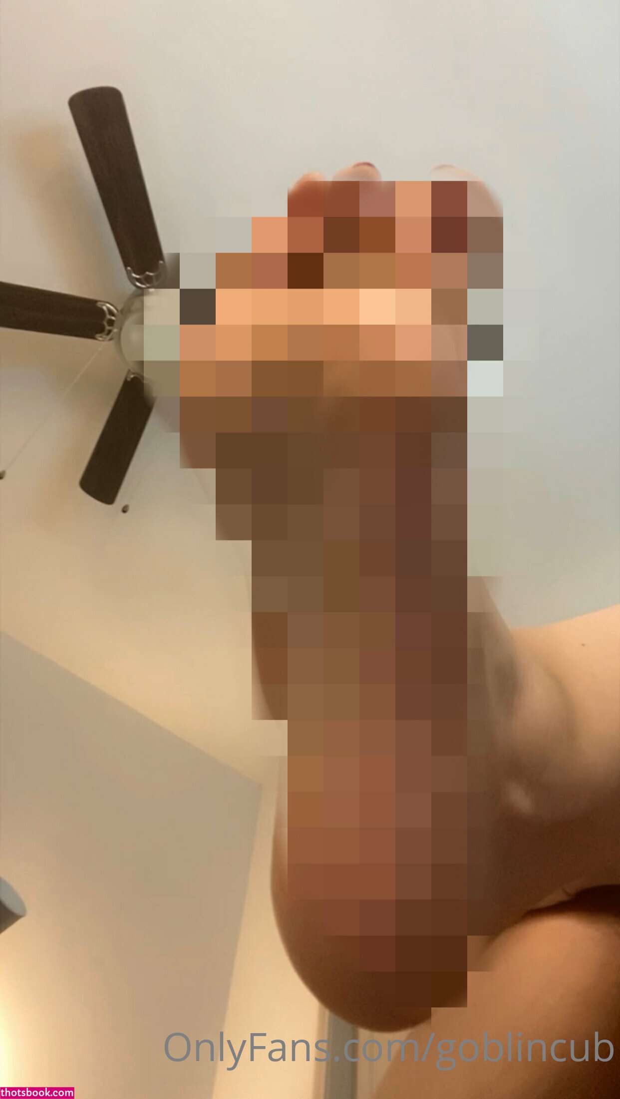 Goblincub Photo #105