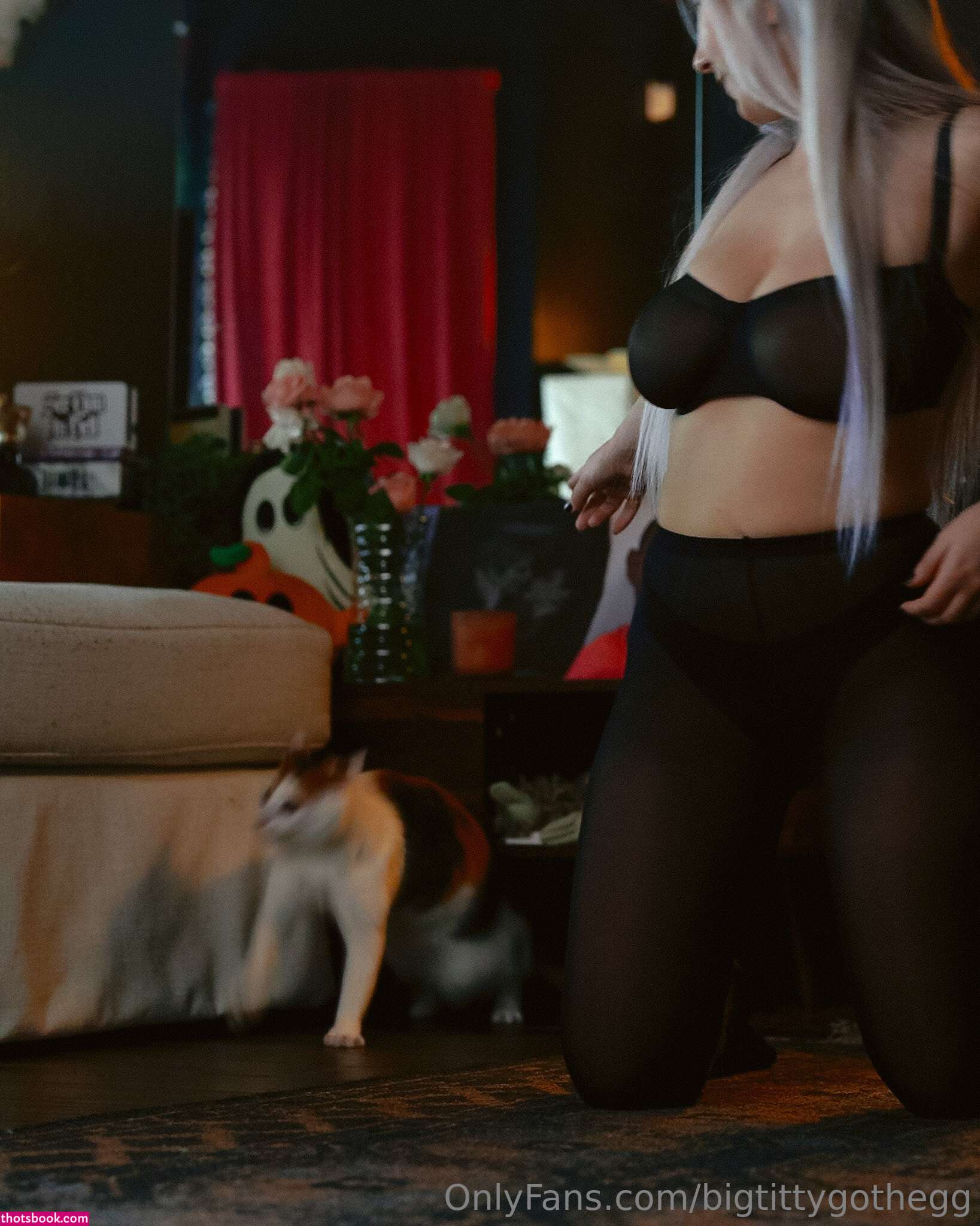 Bigtittygothegg Photo #574