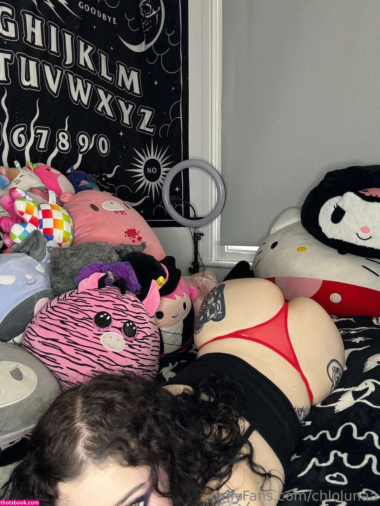 obedientslxt Photo #34