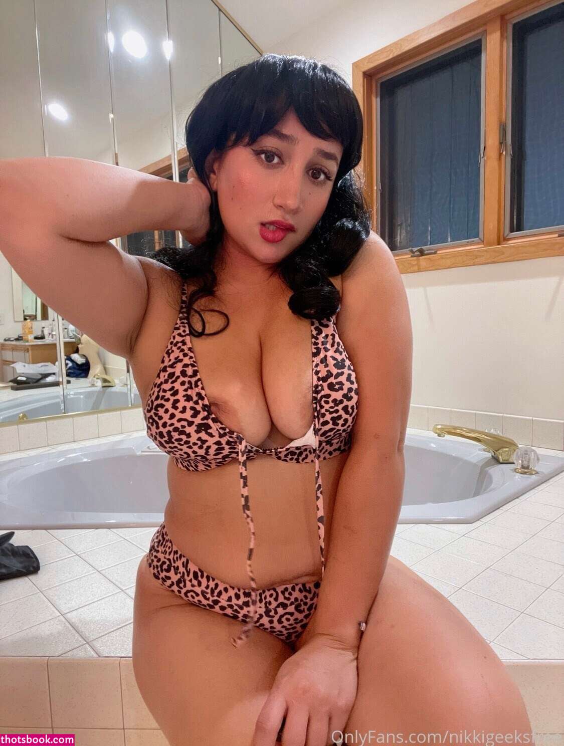 Nikki Geeks Photo #3