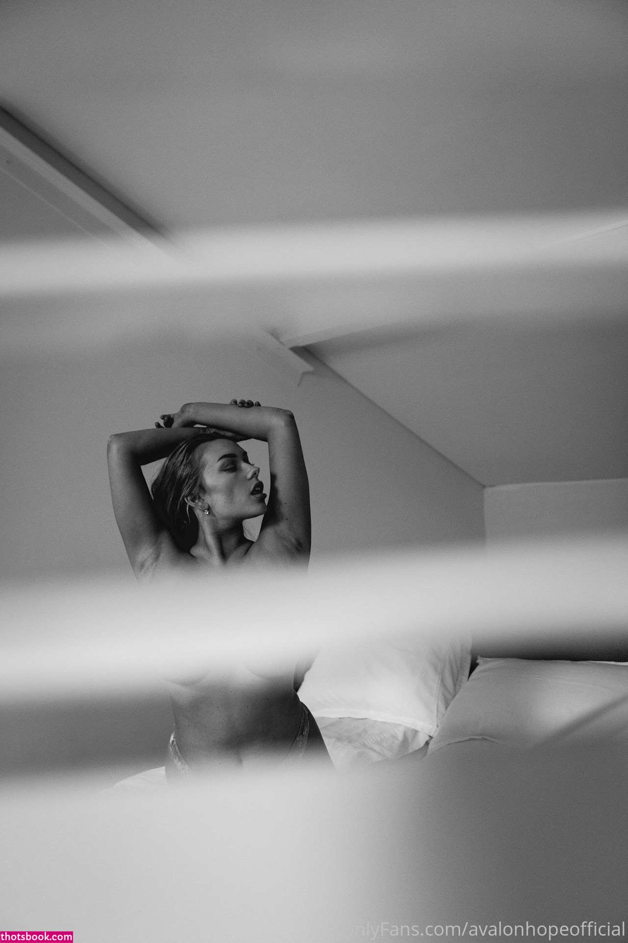 Avalon Hope Photo #245