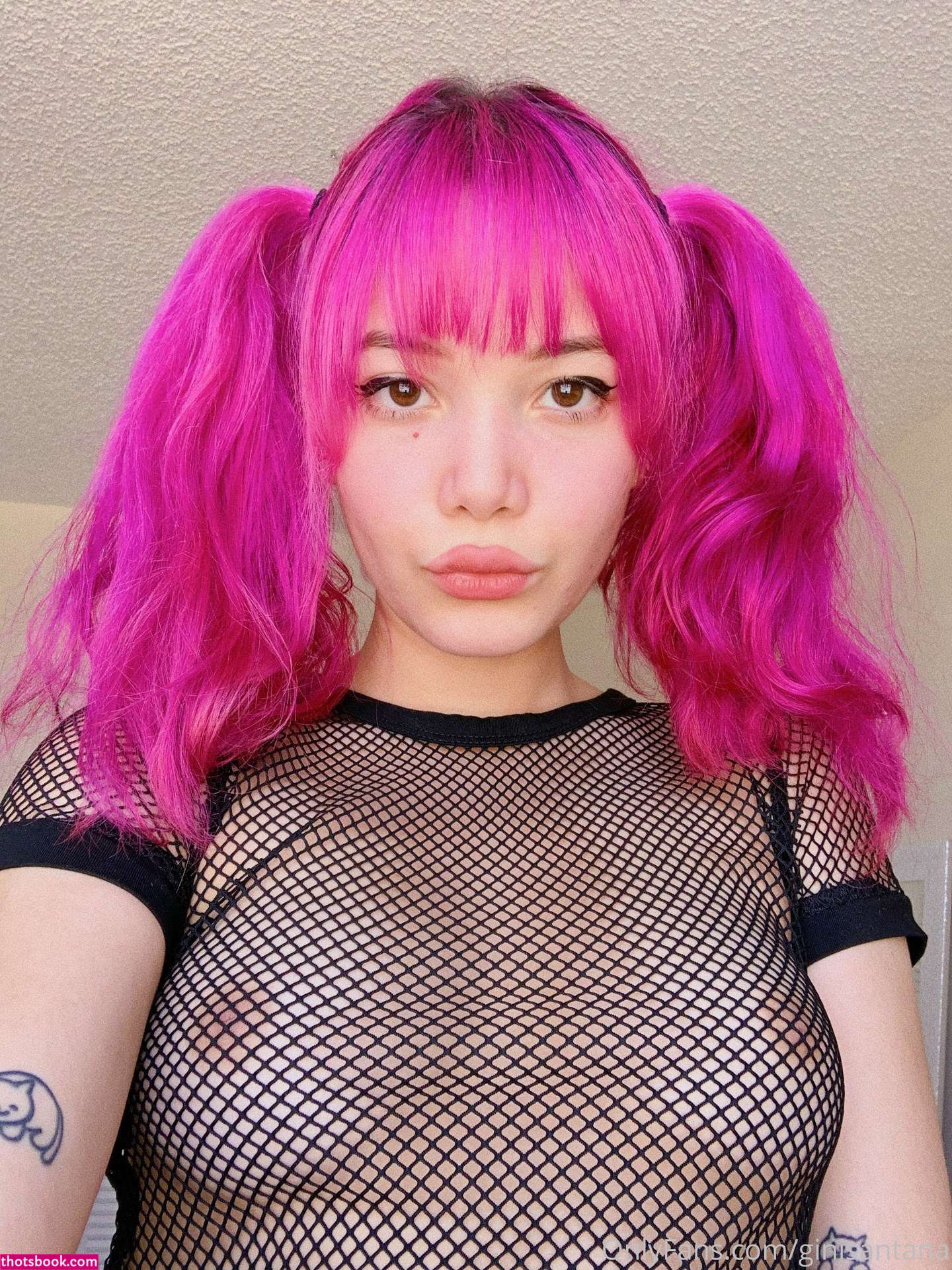 Ginisantana Photo #330