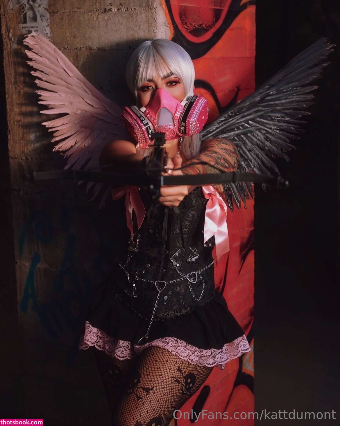 Kattdumont Photo #128