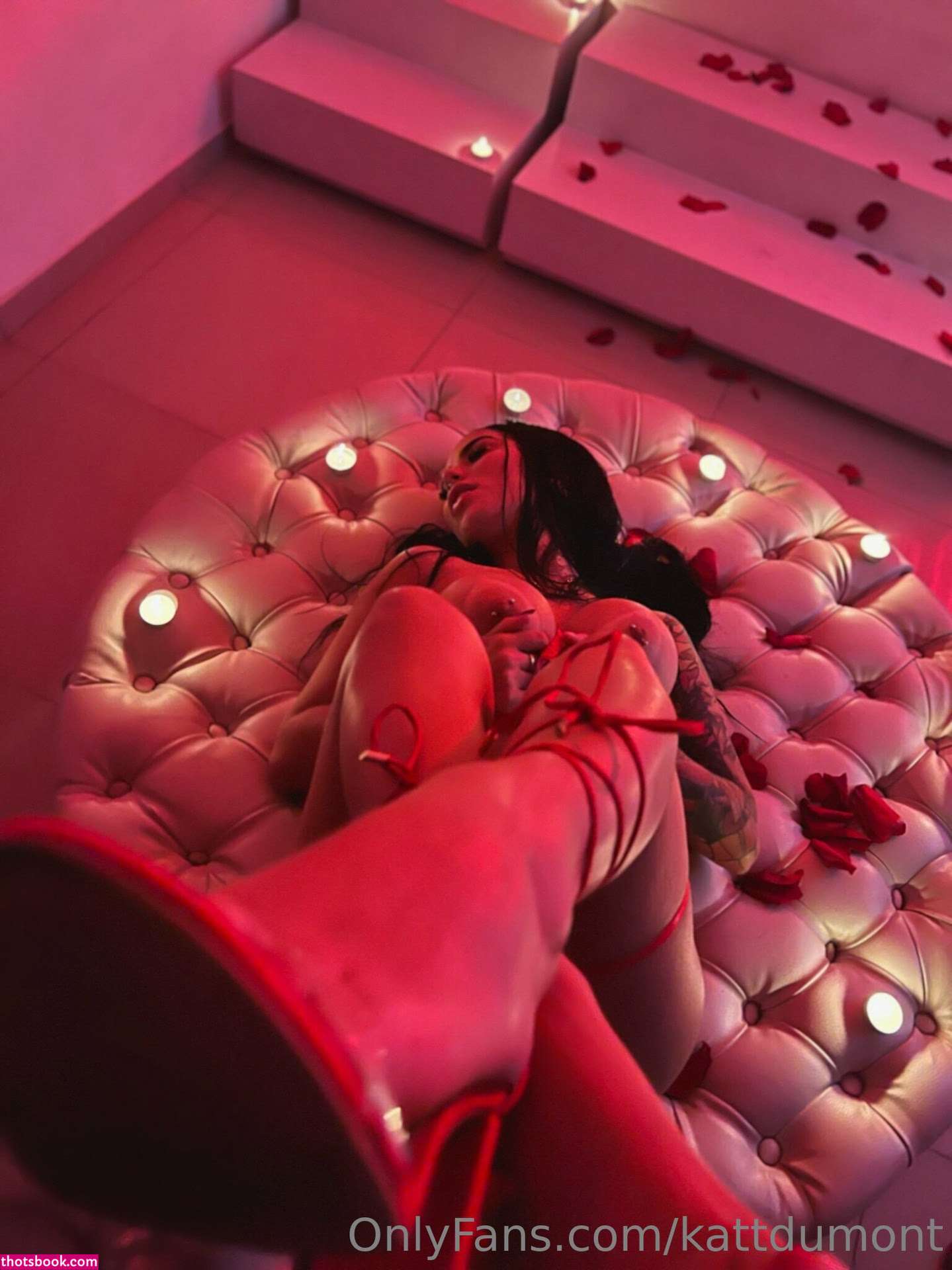 Kattdumont Photo #140