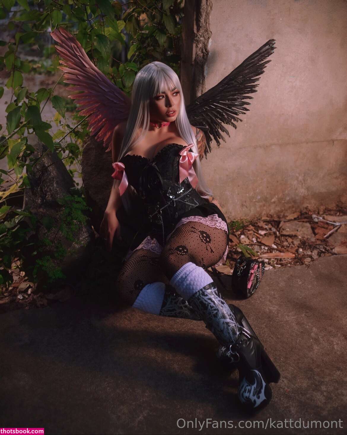 Kattdumont Photo #146