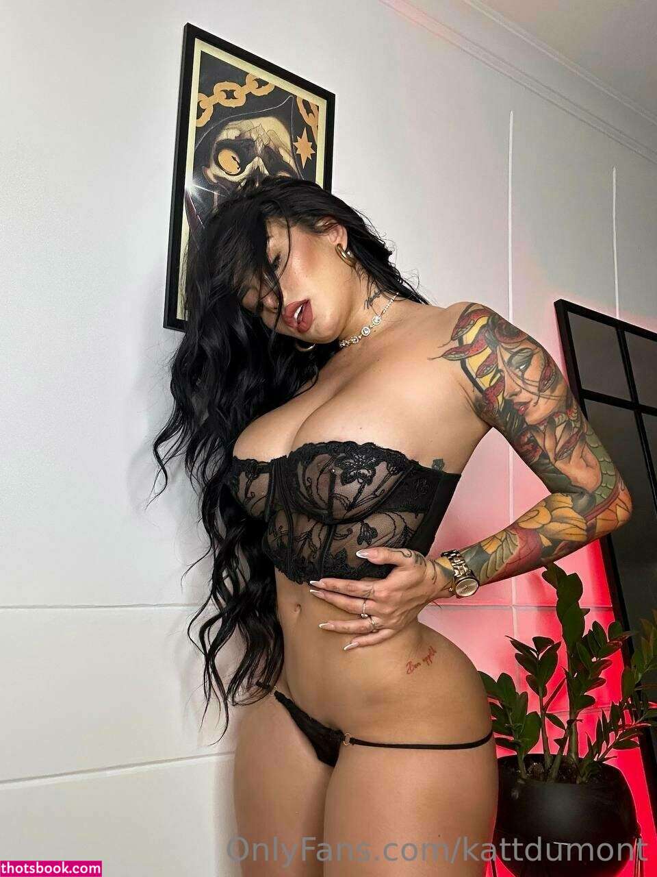 Kattdumont Photo #154