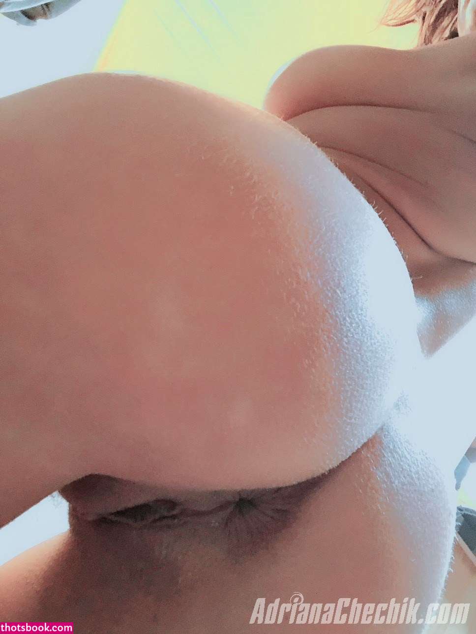 Adriana Chechik Photo #158