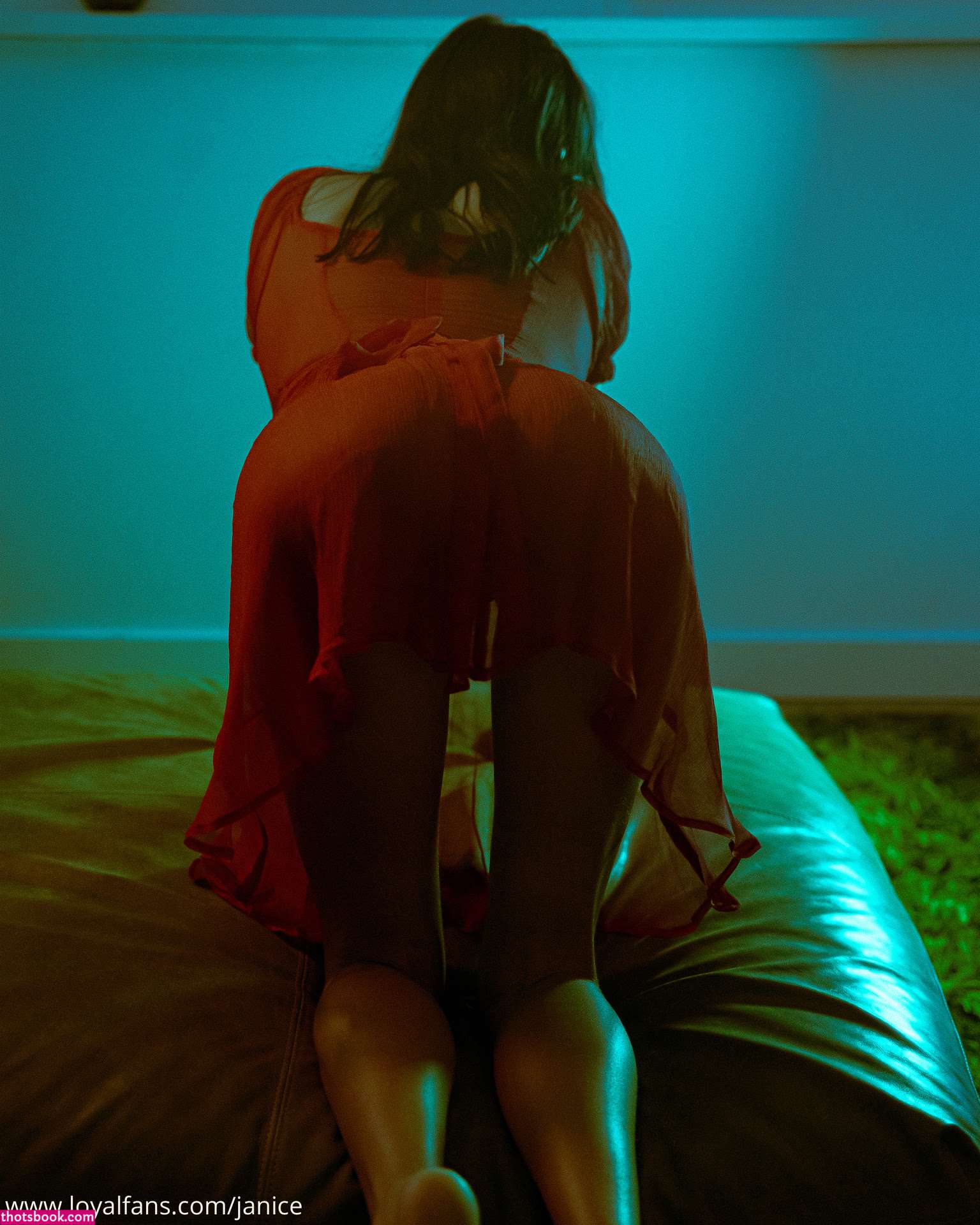 Janice Griffith Photo #293