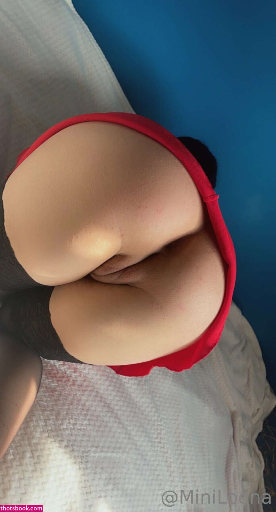 Miniloonaa Photo #294