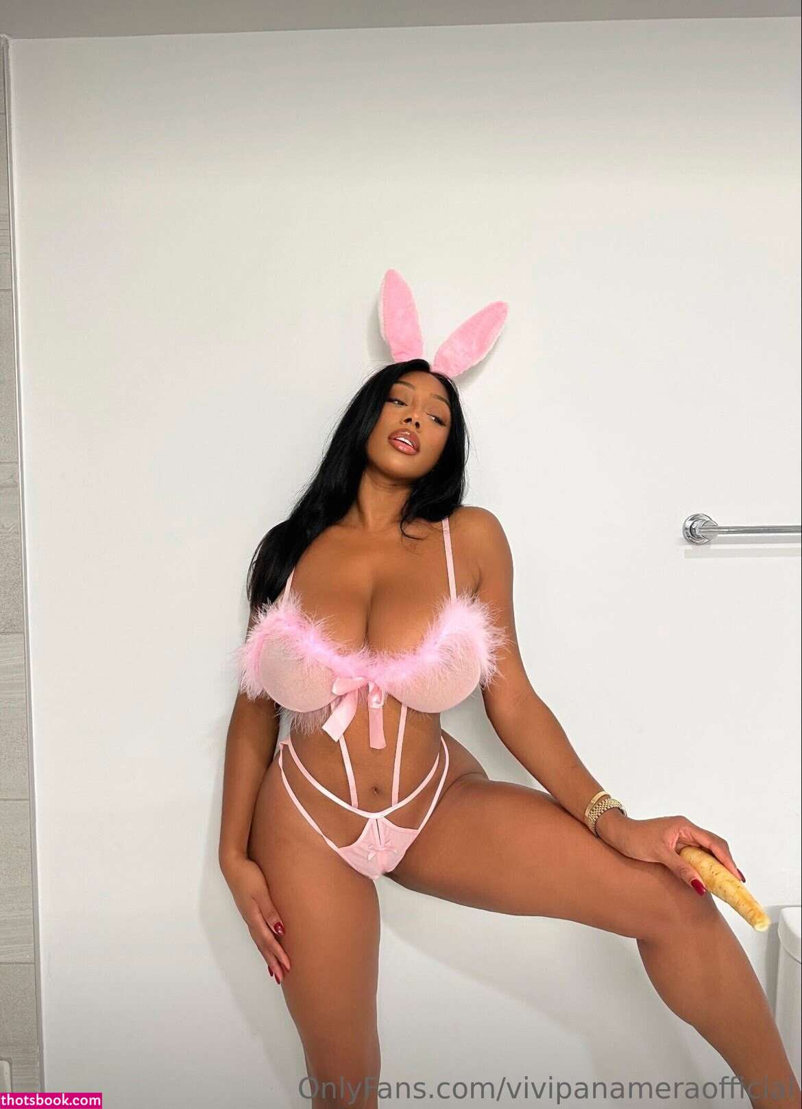 Vivipanameraofficial Photo #99