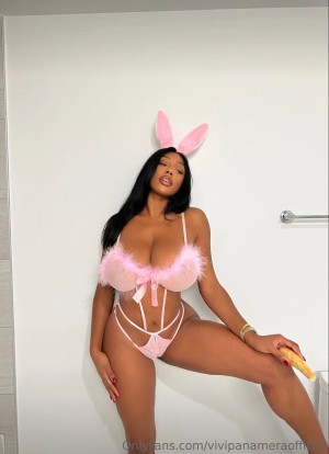 Vivipanameraofficial Photo #99