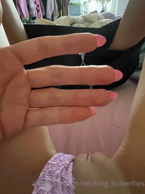 Fetching Butterflies Photo #318