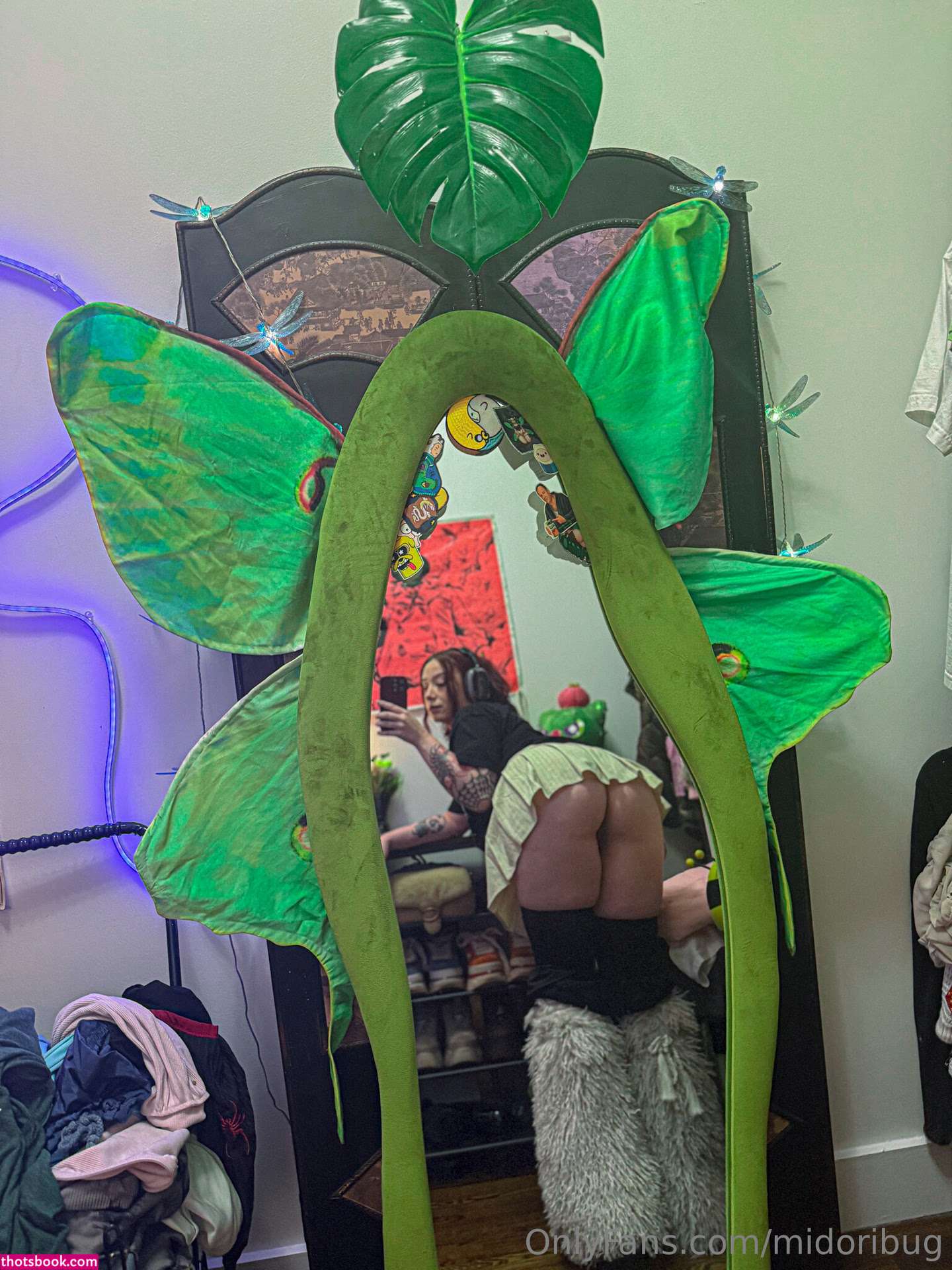 Midoribug Photo #261