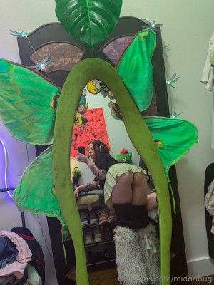 Midoribug Photo #262