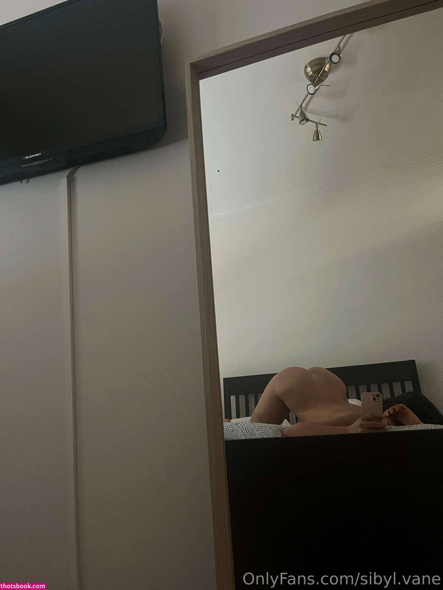 Eden Cohen Photo #446