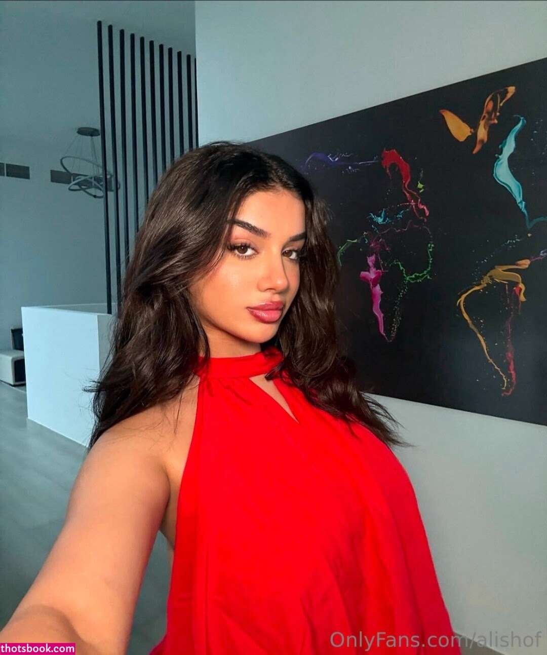 Alishbasheikh Photo #196